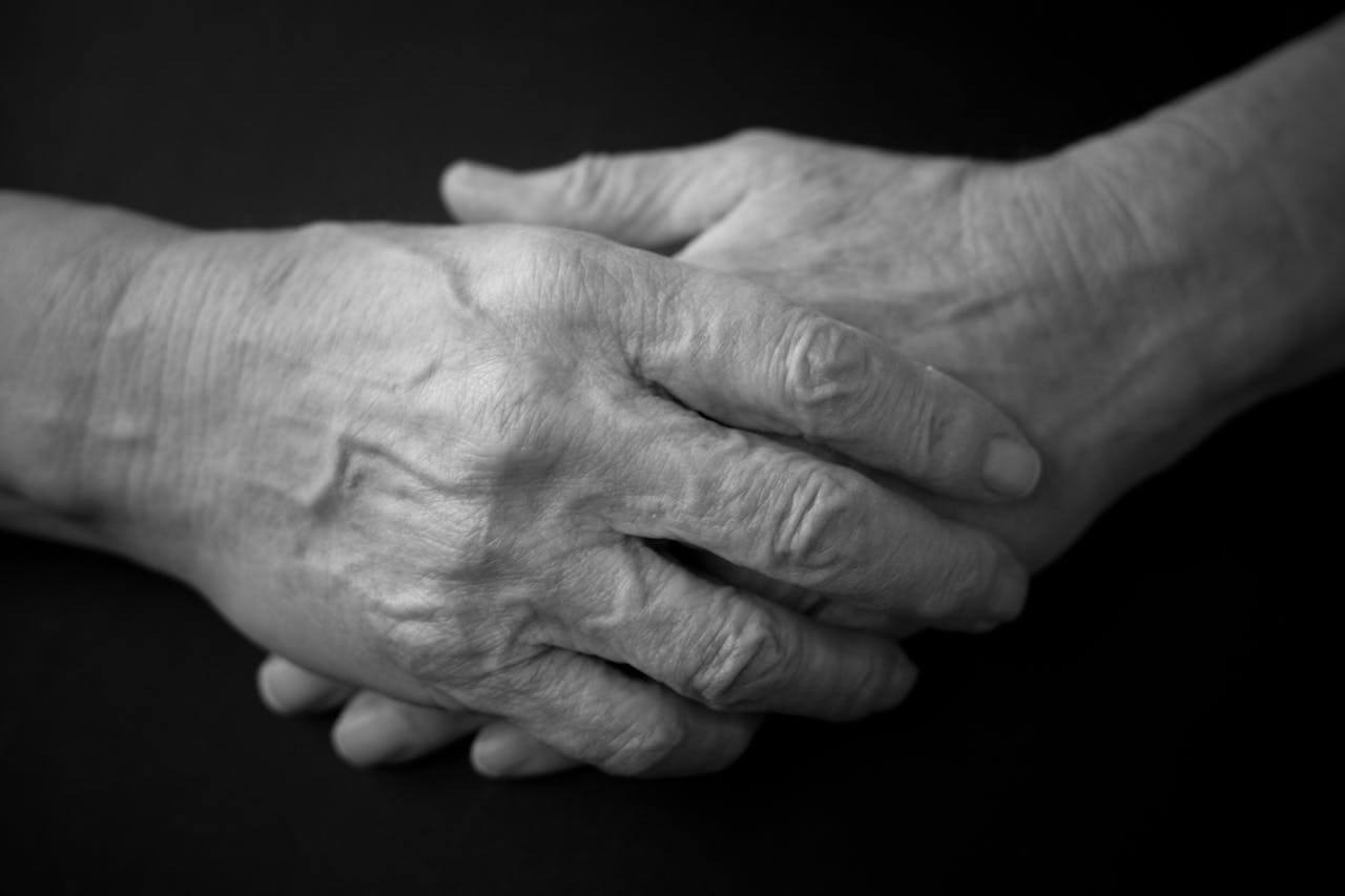 Companionship